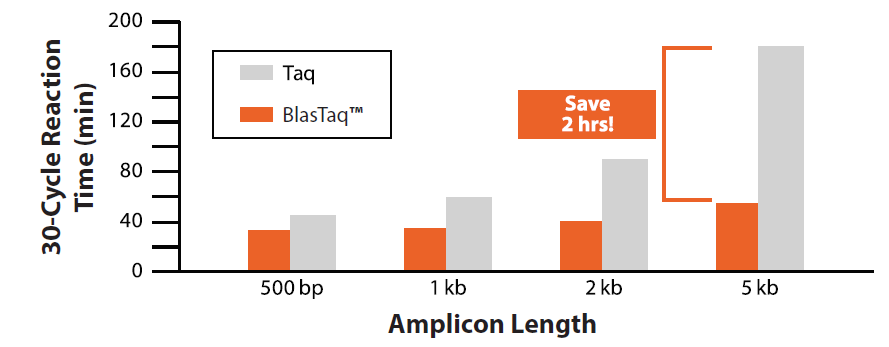 BlasTaq(TM) DNA Polymeraseは最高 6 kb/minの伸長速度を実現