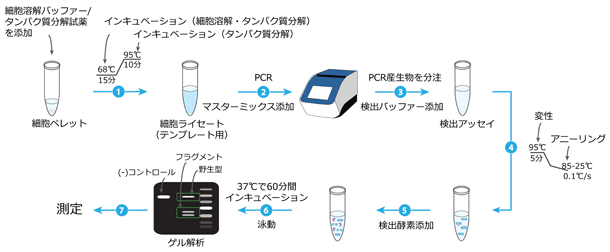 CRISPR Genomic Cleavage Detection Kit [Nt[