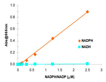 ensoLyte® NADP/NADPH AbZCLbgColorimetričʐ