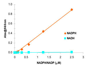 ensoLyte® NADP/NADPH AbZCLbgColorimetričʐ
