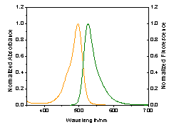 HiLyte Fluor™ 488