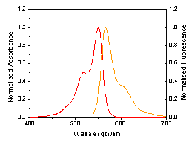 HiLyte Fluor™ 555