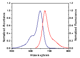 HiLyte Fluor™ 647