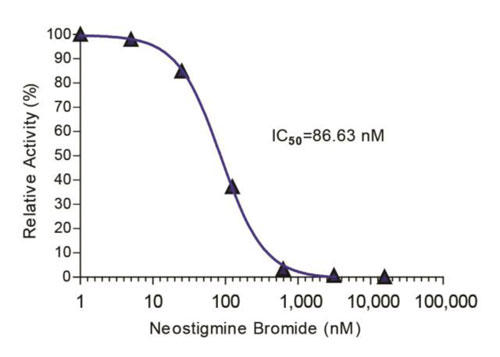 図2 ネオスチグミン臭化物による AChE 活性の阻害