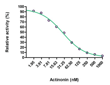 Actinonin によるメプリンα 活性の阻害