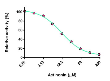 Actinonin ɂ郁vβ ̑jQ