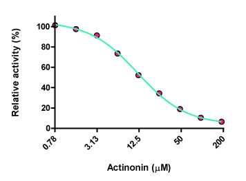 Actinonin によるメプリンβ 活性の阻害