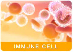 ATL_Immune_Cell_HPA_7.jpg