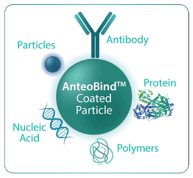 ATT_AnteoBind_biomolecule_example.png