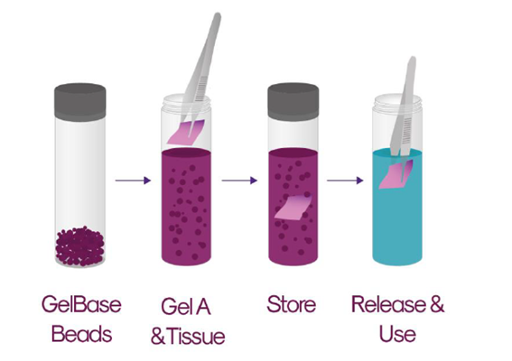 �Q���x�[�X�r�[�Y�Ɣ|�n�Ŋ�߂����Q���n�t���������A���������A�Q���������܂��B