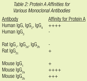 BAN_ProActiveMicrosphere_8.jpg