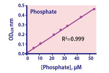 Phosphate Assay Kit