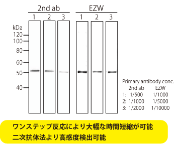 Xebv@ɂ鍂xo