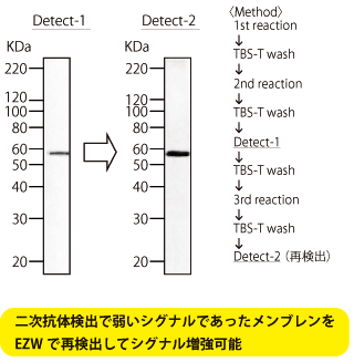 Easy-WESTERN Super@VOi