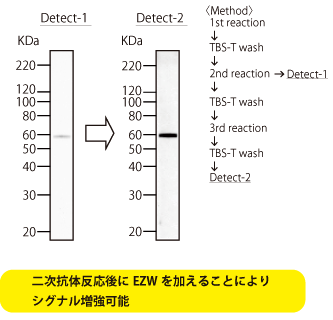 Easy-WESTERN Super@x