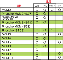 MCMR̃Cibv 