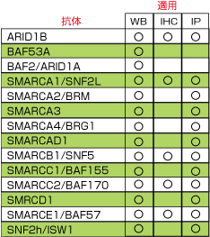 SWI/SNFR̃Cibv