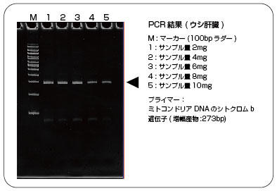 CellEase 組織細胞用の使用例