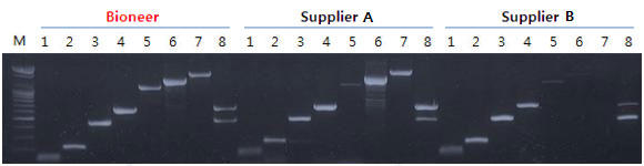 zbgX^[gPCR\̑ЕiƂ̔r