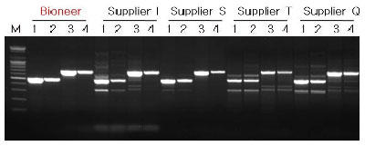 PCȒِЃzbgX^[gPCR}X^[~bNXƂ̔r