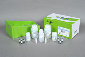 MagListo™ 5M Genomic DNA Extraction Kit