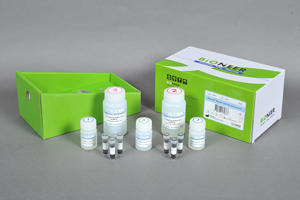 MagListo 5M Cell total RNA Extraction Kit