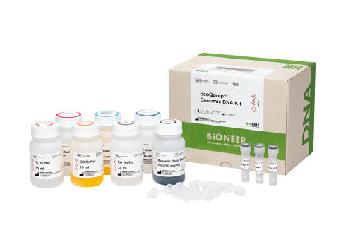 EcoQprep(TM) ゲノムDNA抽出キット