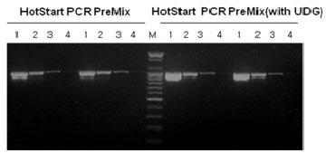 AccuPower(R) HotStart PCR PreMixƂ̊xr