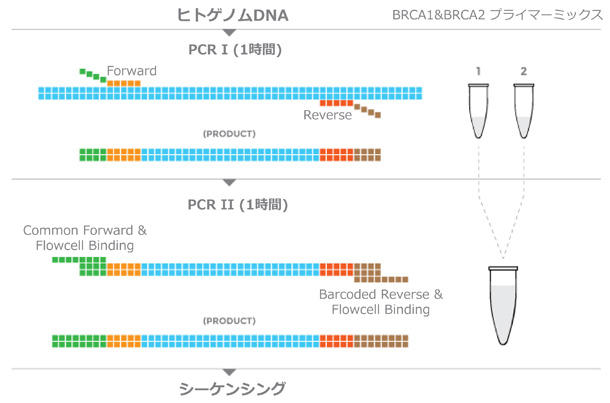 NEXTflex(TM) BRCA1 & BRCA2 Amplicon Panelのプロトコール