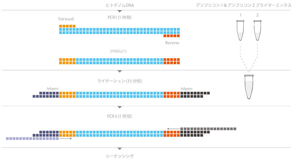 Nextflex Mody 1 Amplicon Panel Illumina 社対応 若年発症成人型糖尿病の原因遺伝子 Gck Hnf1a を新鮮 凍結サンプル由来dnaから解析 コスモ バイオ株式会社