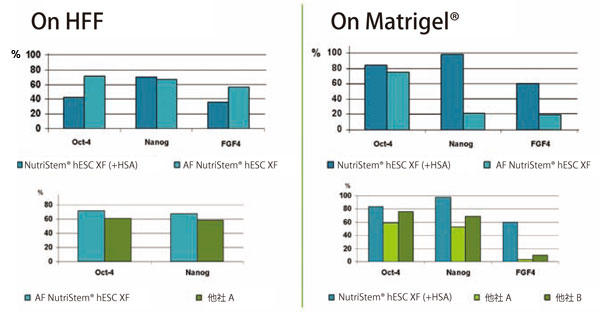 各々の培地にてES 細胞株H9.2 株を2 継代まで培養し、qPCR にてOct-4, Nanog, およびFGF-4 の発現を確認した。 オンフィーダー条件ではAF NutriStem® hPSC XF 培地で培養した条件が最も強い発現を示した（左）。 フィーダーフリー条件ではHSA を含むNutriStem® hPSC XF 培地で培養した条件が最も強い発現を示した（右）。