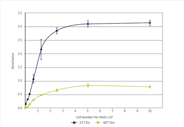 マウス線維芽細胞株（L-929）を5％CO2、37℃条件下オー バーナイトで培養し、 細胞増殖能をXTT アッセイとMTT アッセイで評価した（反応時間：3 時間）。 XTT アッセイでは、MTT アッセイと比べてより高感度な 結果が得られた。