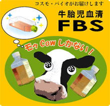 細胞培養用のウシ胎児血清(FBS)