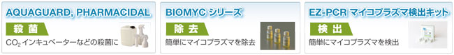 BLG_Mycoplasma_banner.jpg