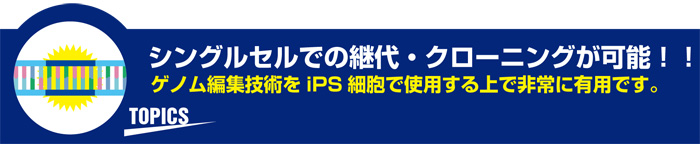 シングルセルでの継代・クローニングが可能!ゲノム編集で有用