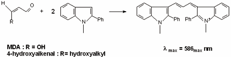 脂質過酸化物測定の原理：MDAおよび4-hydroxyalkenalsと発色試薬であるN-メチル-2-フェニルインドールとの反応に基づいています。