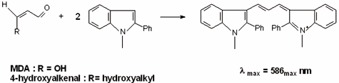 ߎ_̌FMDA4-hydroxyalkenalsƔFłN-`-2-tFjCh[Ƃ̔ɊÂĂ܂B