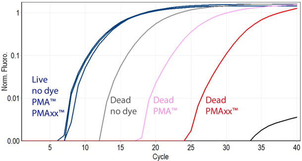  PMAxx™ ́Aviability PCRŁAۂƎۂ̗ǍDȎʂ\ɂ܂B