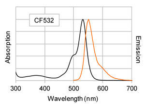 CF®532 WMR}EX IgG iin PBSj̗N^uXyNg