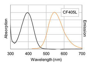 CF®405L WMR}EX IgGiin PBSj̗N^uXyNg