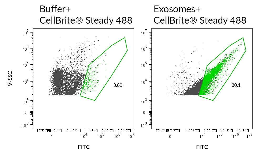 BTI_Cellbrite_steady_06.jpg