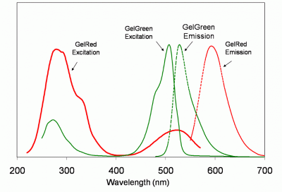 BTI_GelGreen_Red_fig1.gif
