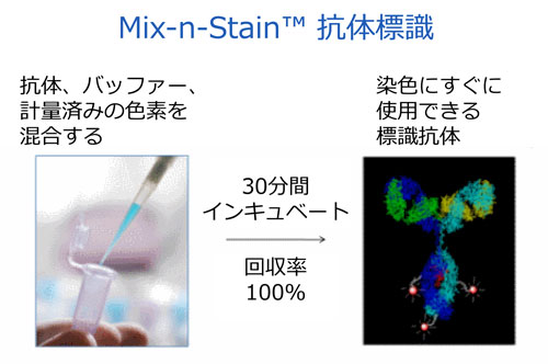 Mix-n-Stain™ R̕W