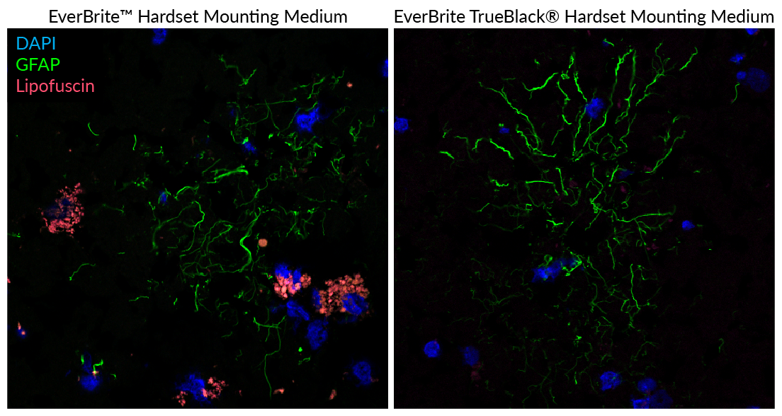 BTI_everbrite_trublack_fig9.png