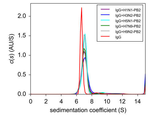 図 3. IgG, PB2(H1N1, H3N2, H5N1,H7N9, H9N2)+IgG の超遠心分析結果