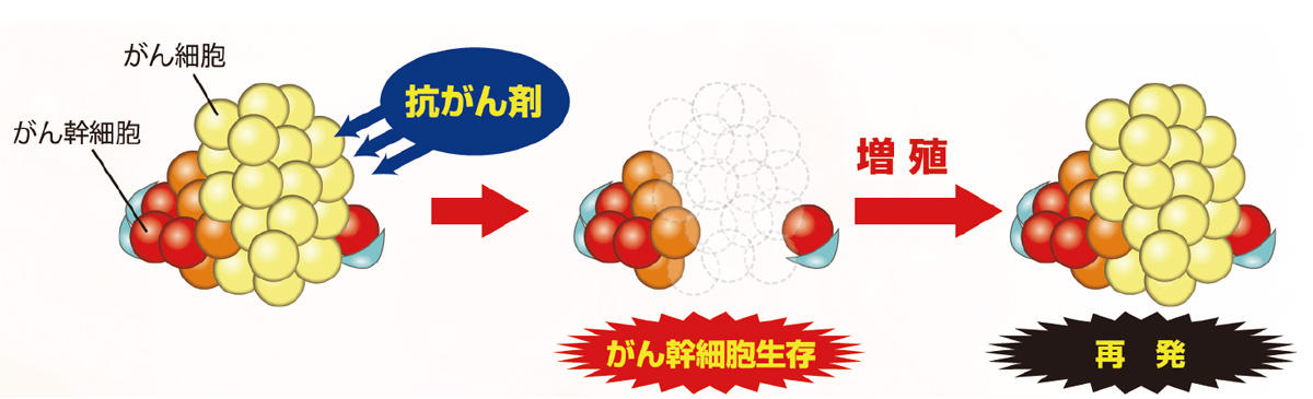 CAC_cancer_stem_cell_research_fig1.jpg