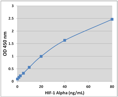 HIF-1 α X^_[hJ[u