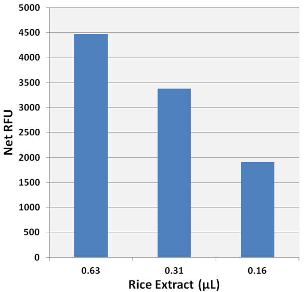 デンプン測定キット（蛍光）による米抽出物でのデンプン検出