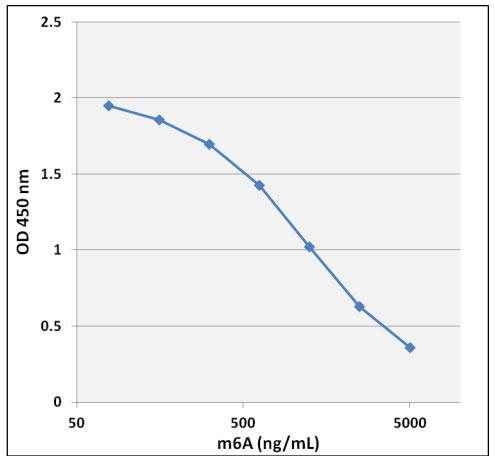 CBL_MET5097_1.jpg