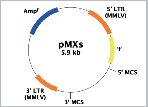 pMXsgECXxN^[